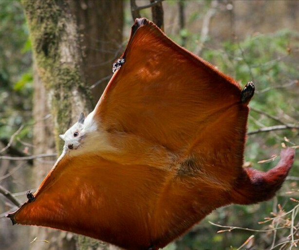 Подборка интересных и веселых фото