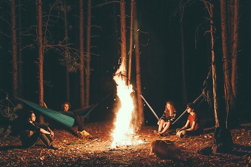 Интересные и веселые картинки