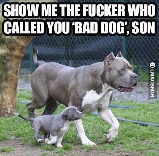 Подборка картинок