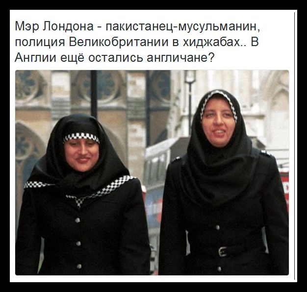 Фанаты сборной Англии во время матча с Россией оскорбляли Путина и Шарапову