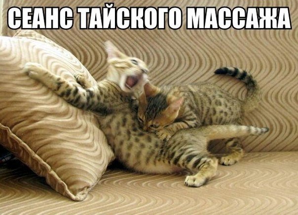 Картинки на пятницу