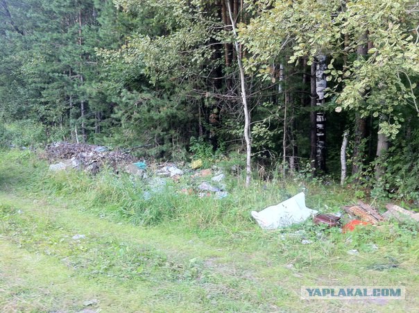 Слесарь из Воронежа Сергей Боярский каждую неделю вывозит мусор из леса
