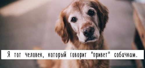 Прикольные животные