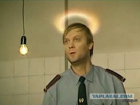 Накормили полицию