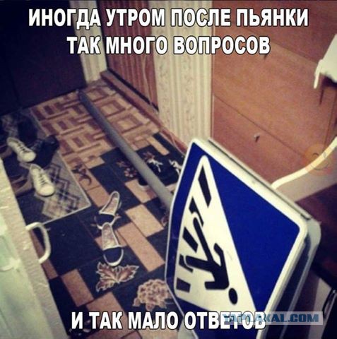 Ужасы и приколы из соцсетей 18+