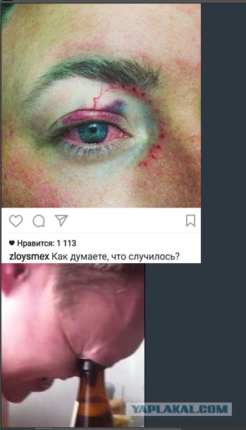 Картинки ИЗ сети