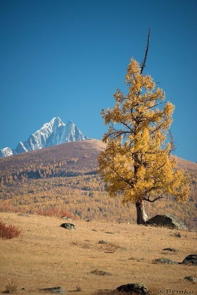 Фото интересные и не только