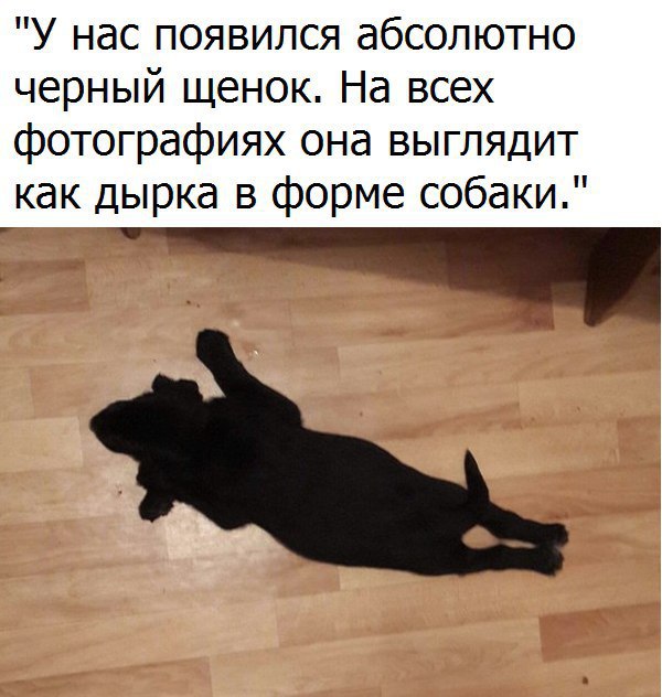 Слегка чёрный и абсурдный юмор к выходным