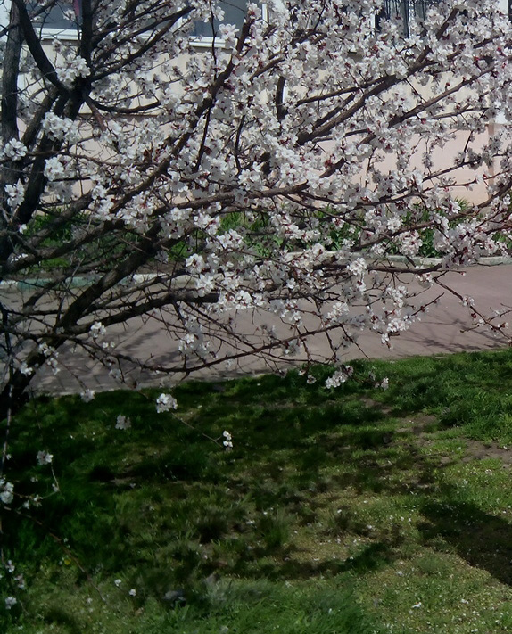 Санкт-Петербург. Апрель