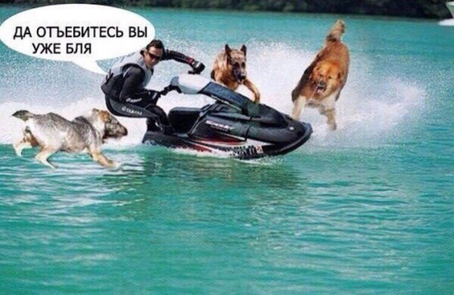 Показали, кто главный на пляже.