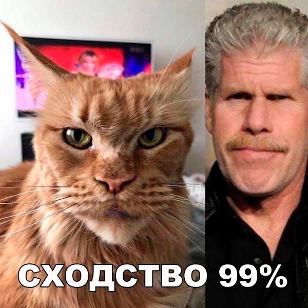 Картинки. Местами смешные.