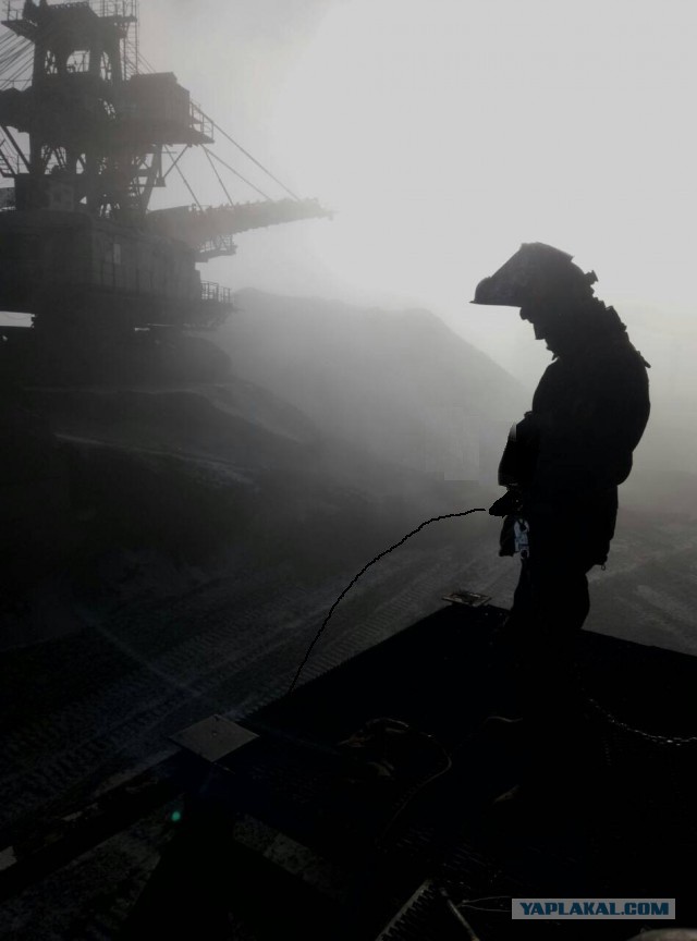 Фото брата на работе похоже на постер к постапокалиптическому фильму