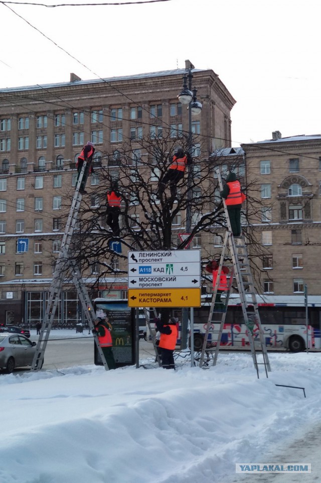 Подборка интересных и веселых картинок