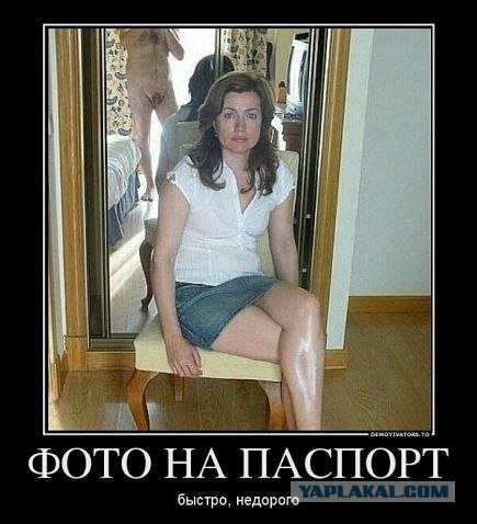 Скотсети и прочие интернеты 02.07.18
