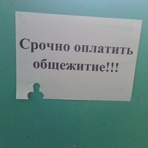 Чернушки вот вам принёс