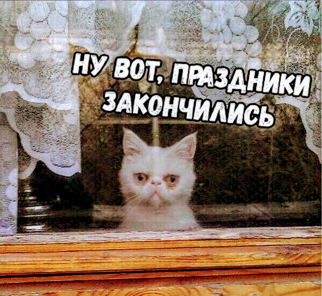 Картинки вот и закончился день