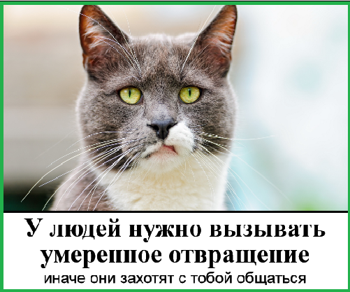 Фото, соц-сети и картинки с надписями