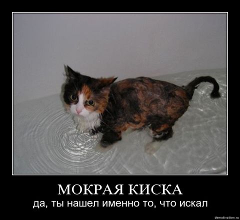 Спасение "мокрой киски"