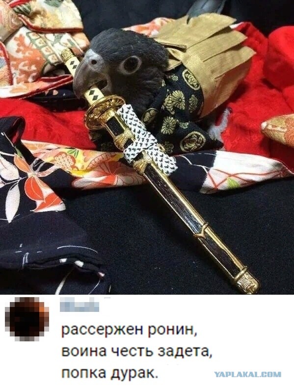 Картинки с надписями и анекдоты