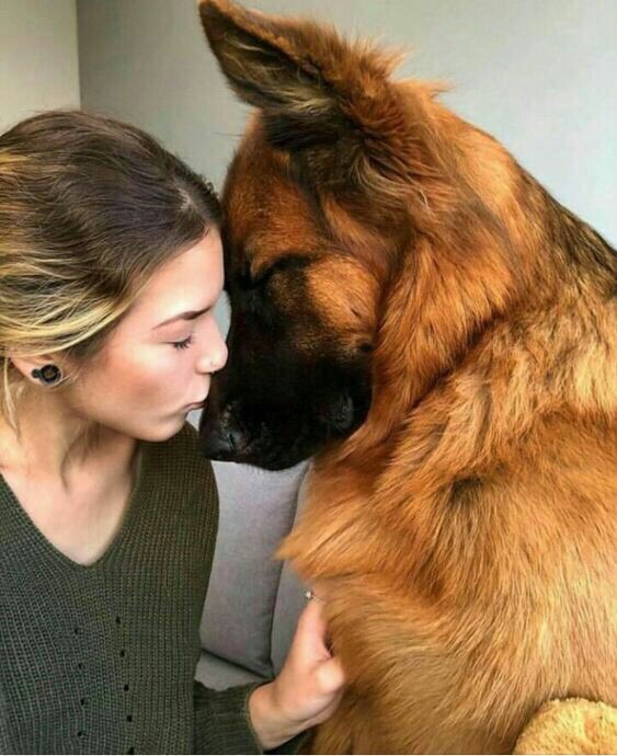 Живность из сети