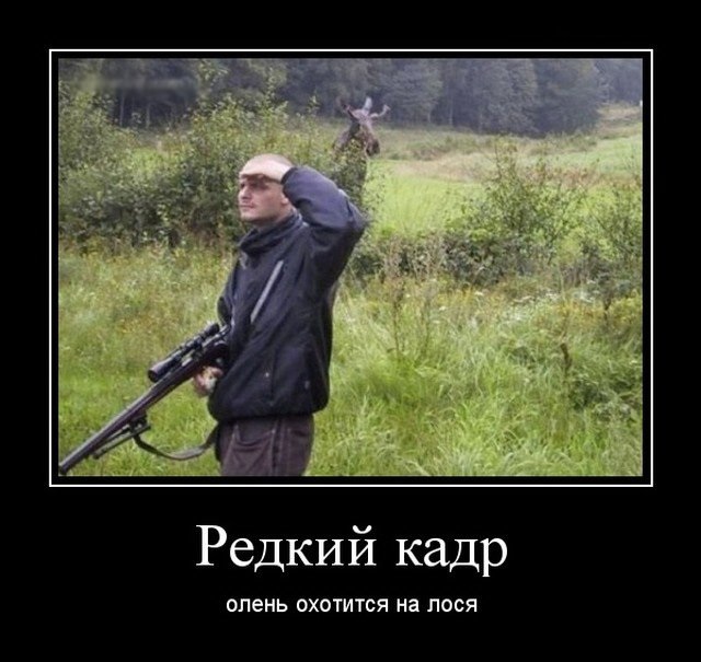 Картинки ни о чем