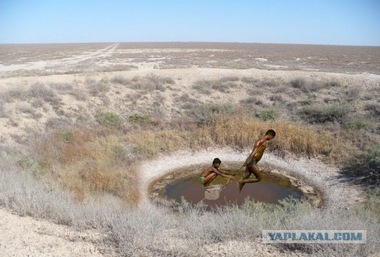 Фотожаба: Это не санки!