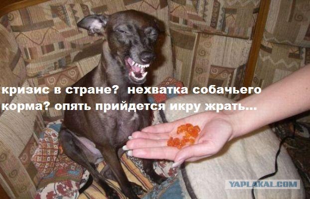 Простое человеческое счастье в картинках