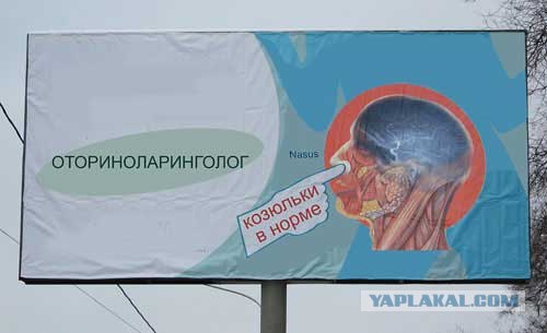 Орган работает! (8 фото)