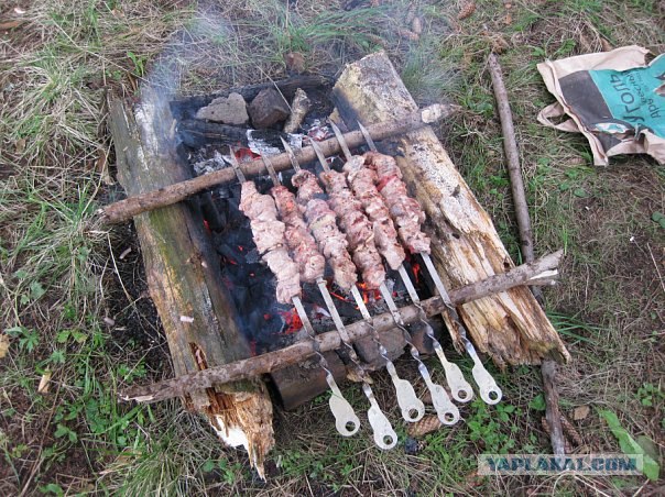 Шашлык, рецепты маринада, все про шашлык!