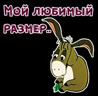 Девушкам есть чем похвастаться