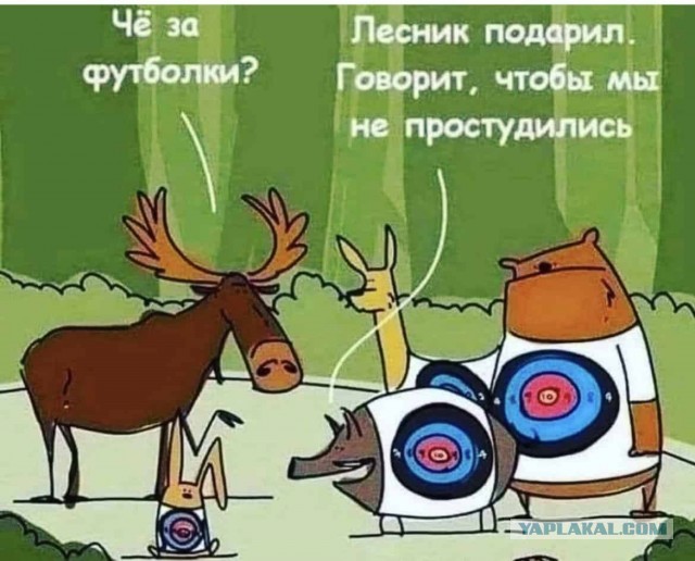 Qr коды теперь и в Московской области.