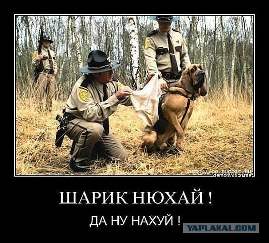 Как по трусам определить неверность жены? Женатым стоит задуматься!