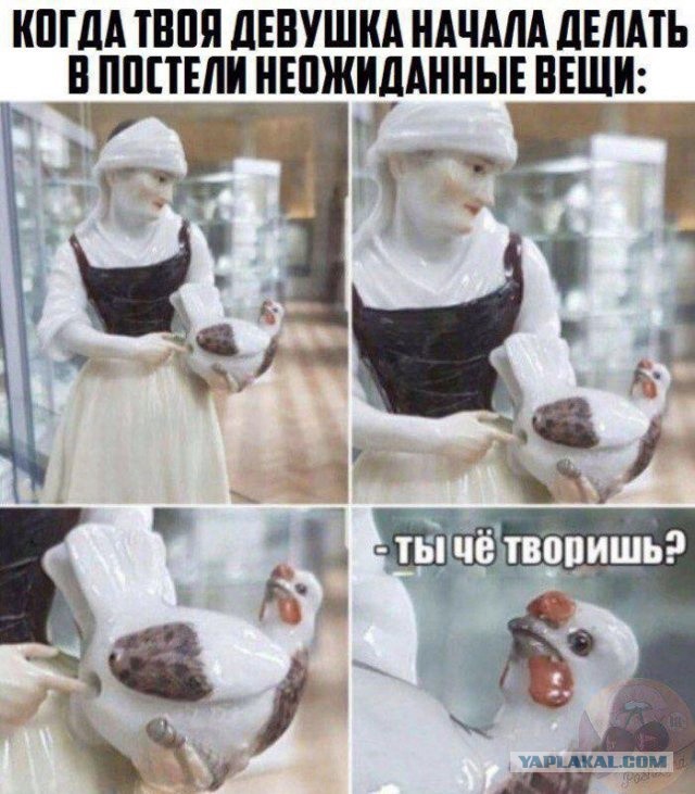 Так себе картинки 26.05.22