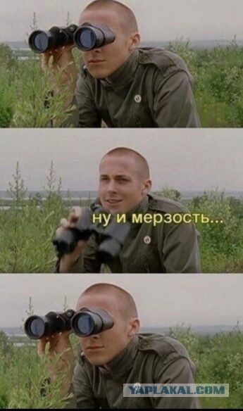 Славься Джек Воробей