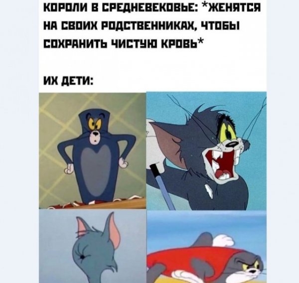 Картинки и мемы для настроения - 19
