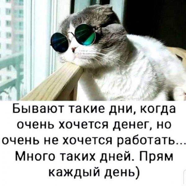 Картинки и мемы для настроения - 17