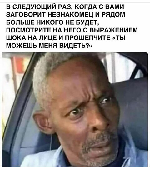 Весёлый полтишок 21.12.2022