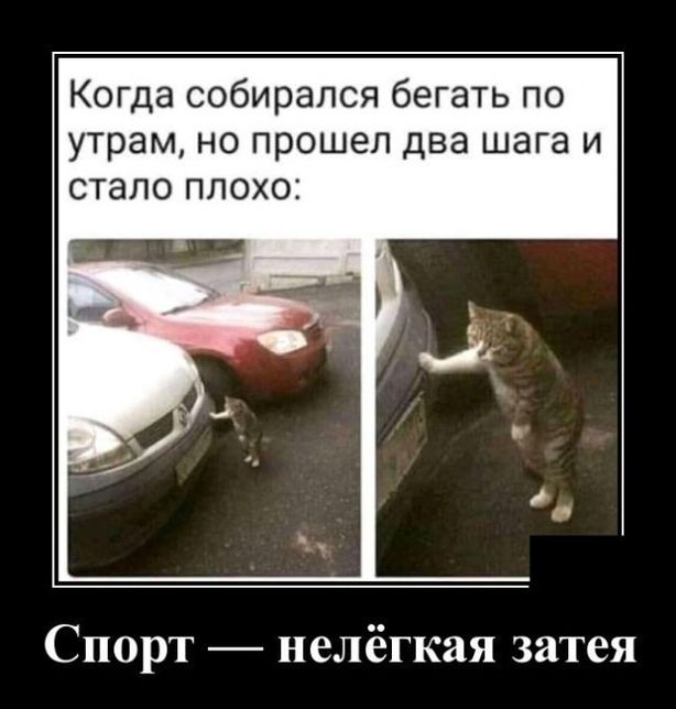 Псто с картинками