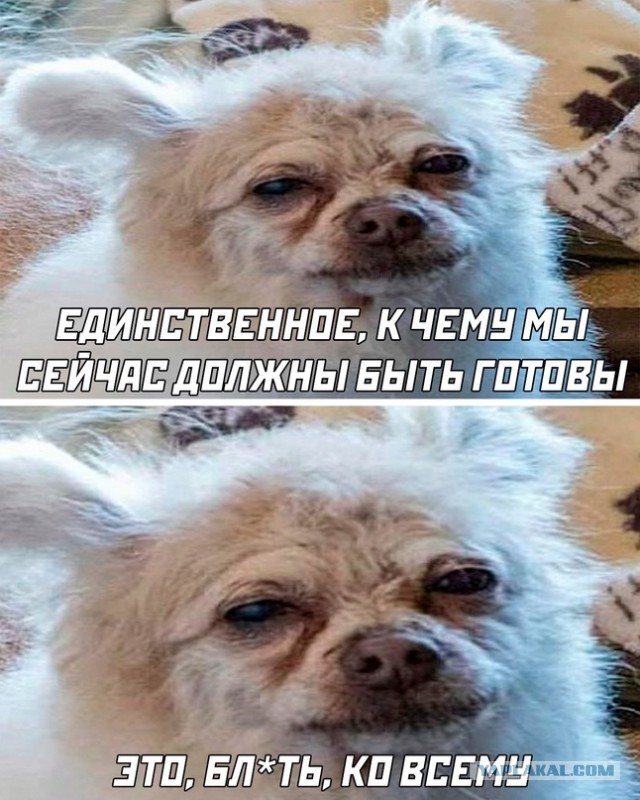 Найден мертвым директор Межрегионального топливного союза Вячеслав Ровнейко