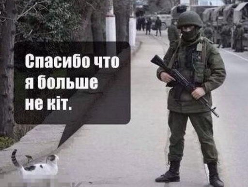 Шерстяной боец)