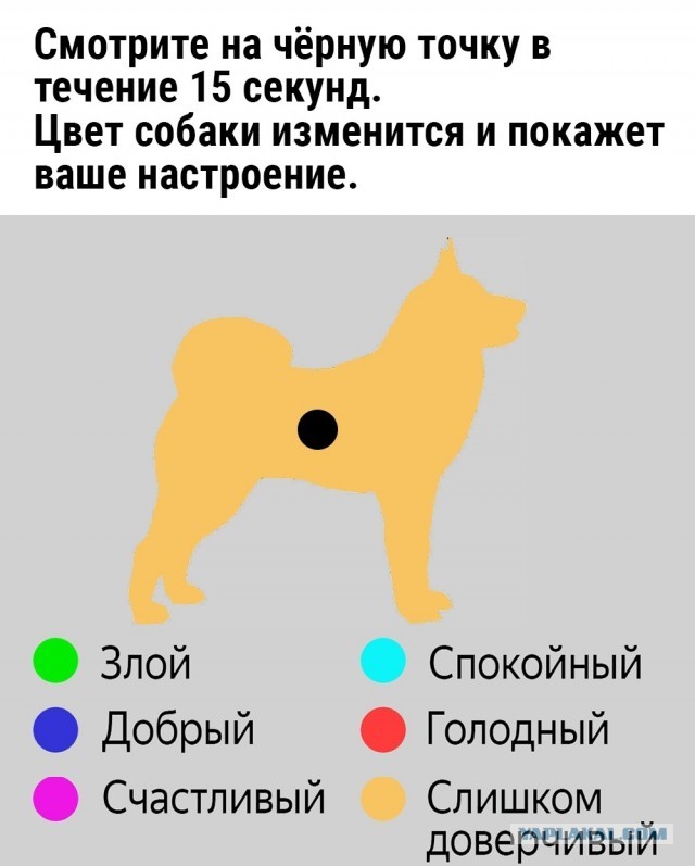 Нуштош 29.03.2023