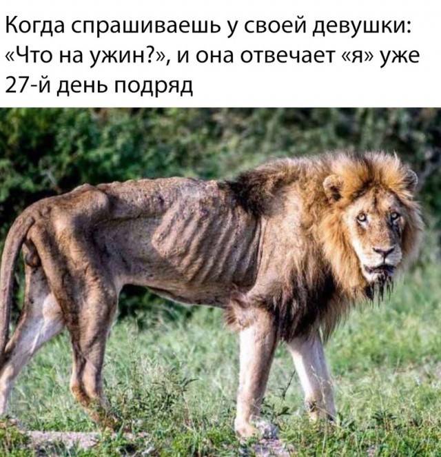 Картинки и мемы для настроения - 187