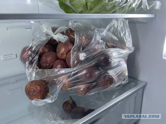 Получаются ли из проституток хорошие жены?