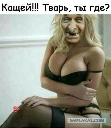 Школьные годы чудесные
