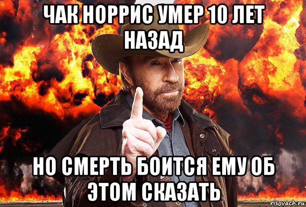 Последнее фото из соцсети Стейтема