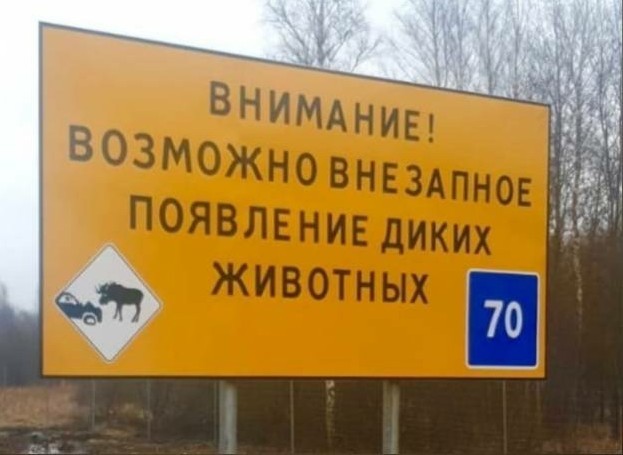 Попрыгунья-стрекоза