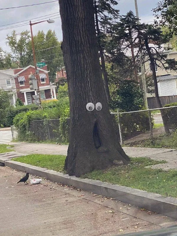 ФотоВинегрет