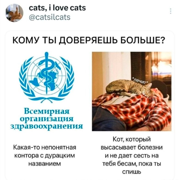 Так себе картинки 09.11.24