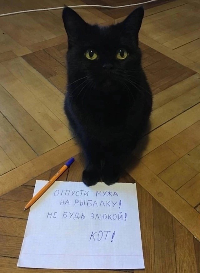 Завалялось тут случайно немного забавных картинок