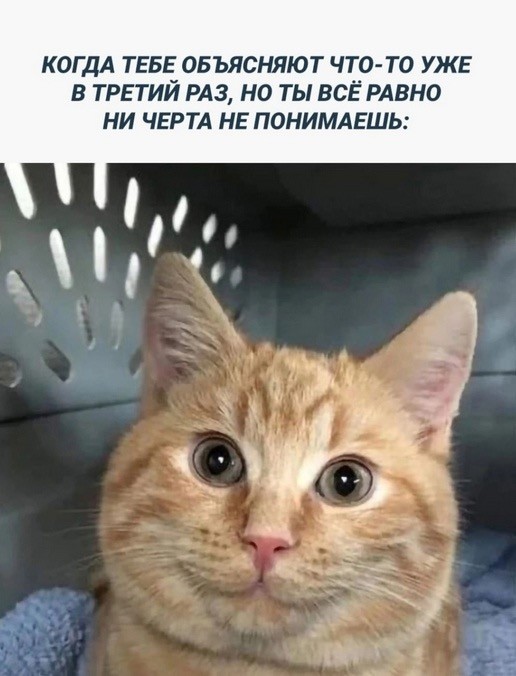 Пятница пришла